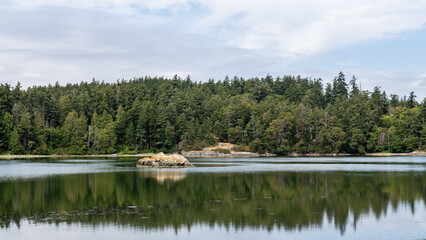 Beautiful Esquimalt Lagoon with view on wild forest park on Vancouver island British Columbia