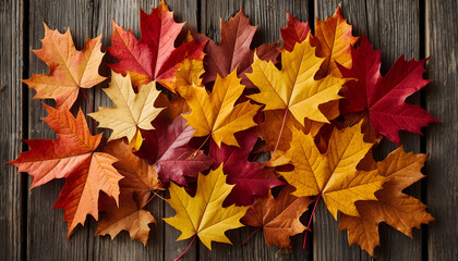 Autumn Maple Leaves on Rustic Wooden Surface in Colorful Display