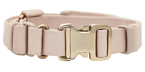 Stylish and Durable Dog Collar with Elegant Metal Buckle and Adjustable Design for Comfort and Fashionable Look in Various Sizes and Colors