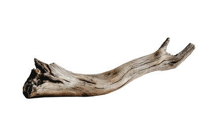 Fototapeta premium Rustic Driftwood Piece on a White Background for Nature, Decoration, and Ecological Design Projects