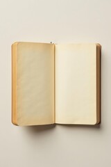 An Open Vintage Book with Blank Pages Ready for Your Text or Design