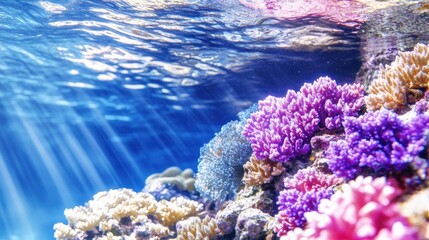 Naklejka premium Vibrant coral reef teeming with life, illuminated by sunlight filtering through water