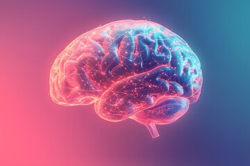 Obraz premium human brain model, intelligent futuristic brain, with neural circuit connections, cognitive function, neuroscience. 