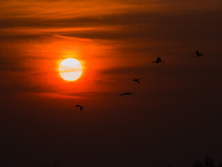sunset in the sky