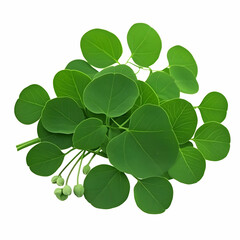 Realistic Photo of Lush Green Plant Leaves Isolated on White Background