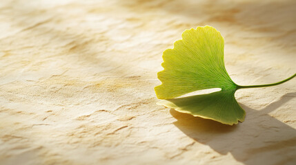 A cinematic close-up of a ginkgo leaf, curved stem, soft gradient of greens