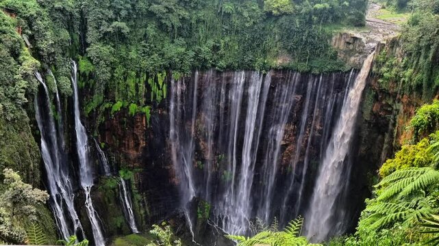 natural jungle waterfall surround of sewu waterfall and jungle in east java