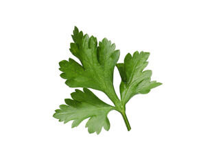 Fototapeta premium Fresh parsley sprig in air isolated on white