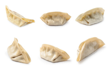 Naklejka premium Set of uncooked gyoza on white background