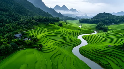 Fototapeten Aerial View of Lush Green Rice Terraces and Winding River in Mountain Valley © mariani