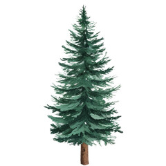 Fototapeta premium Watercolor Evergreen Tree