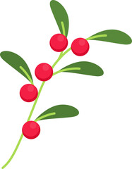 Redberry Fruit Illustration