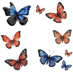 Collection of Vibrant Butterflies in Blue and Orange