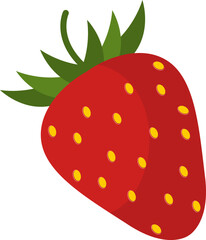 Strawberry Illustration