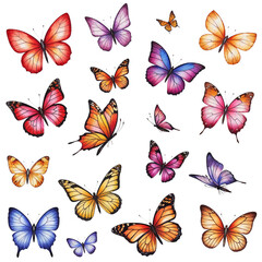 Beautiful Collection of Colorful Butterflies in Watercolor