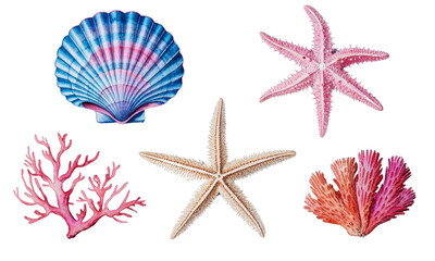 Watercolor illustration of starfish, seashell, and coral in vibrant pink, orange, and blue hues, isolated on white background for marine, beach, or ocean-themed designs.