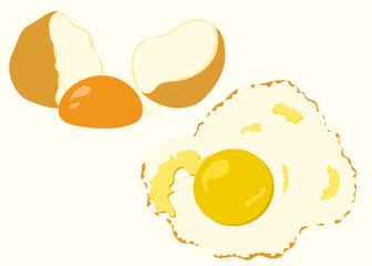 vector illustration of an egg
