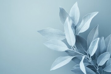 Artistic blue-toned composition of leaves arranged on soft background
