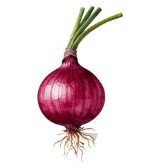 Watercolor Painting of Red Onion with Roots and Green Stems