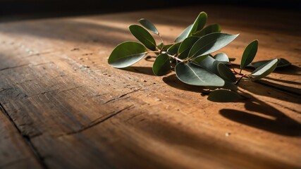 Obraz premium A serene composition featuring a single branch with lush green leaves resting on a wooden surface, illuminated by soft natural light.