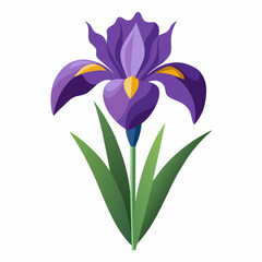 Naklejka premium Iris flower isolated vector
