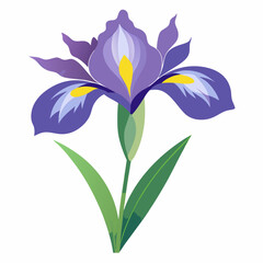 Iris flower isolated vector