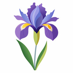 Iris flower isolated vector