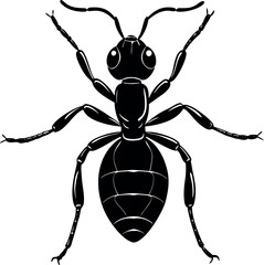 Ant Vector Silhouette Artwork illustration 02 Black Bug Tattoo Animal Design
