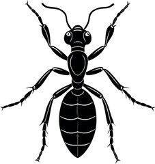 Ant Vector Silhouette Artwork illustration 01 Black Bug Tattoo Animal Design