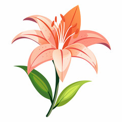Lily flower isolated vector