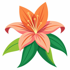 lily flower, isolated vector