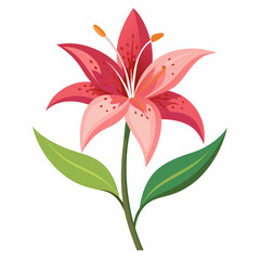 lily flower isolated vector