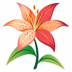 lily flower isolated vector