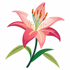 lily flower isolated vector