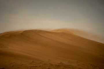 duna de arena viva , en movimiento debido a la accion del viento , que logra que se desplase de sitio