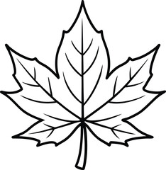 Black outline of a maple leaf illustration, a classic symbol of nature, autumn, and seasonal change, perfect for botanical designs.