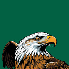 eagle head vector art for graphic design needs