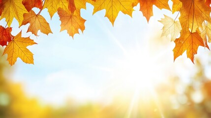 Fototapeta premium Autumn leaves frame bright sky