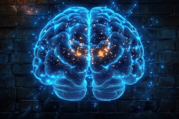 Futuristic Medical Illustration of Glowing Human Brain Semi-Transparent Blue and White Neon Backlighting Anatomy Neuroscience