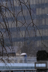 寒い雪の日に河岸の枝と橋を渡る人影20250205-3