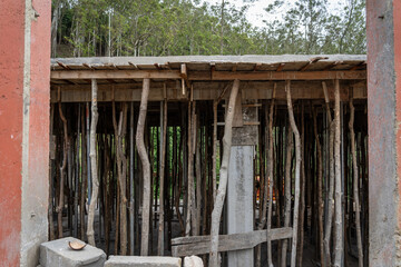 First floor of new building being constructed using sticks to support it