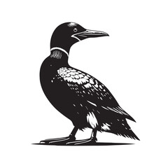 Black Great Auk Silhouette Vector, High Quality Illustration on White Background