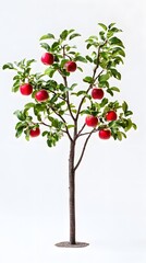 10. A small apple tree bearing ripe red fruit on a white background