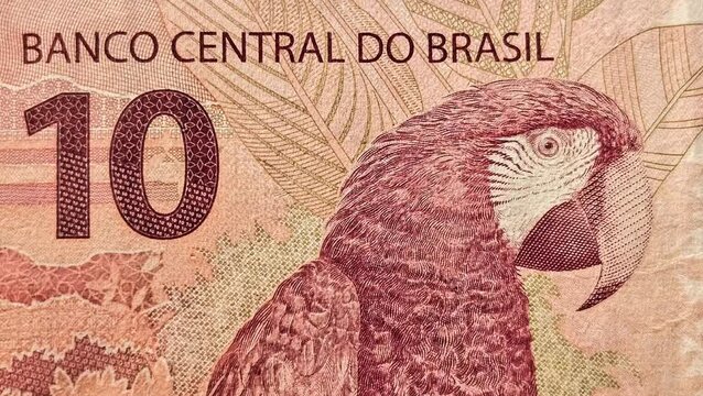 money notes of 50 reais 100 reais and 200 reais from brazil. space for text. money from brazil. earn money. Real, Currency, Money, Dinheiro, Reais, Brasil.