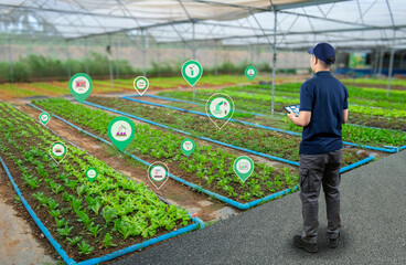 Agricultural engineer work with digital tablet in farm