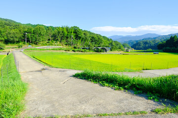 田舎の風景
