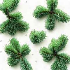 Obraz premium Realistic Pine Branches Botanical Illustration Green Coniferous Clip Art Christmas Tree Elements