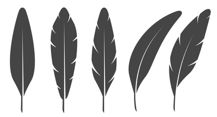 A set of bird feathers of different shapes, straight and curved. Flat vector illustration isolated on white background.