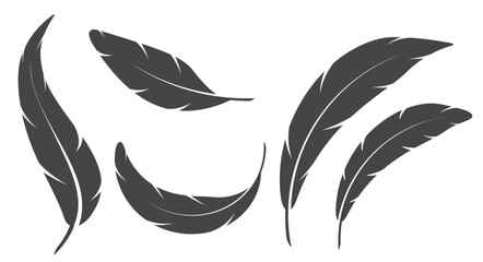 A set of curved flying bird feathers. Bird feather simple silhouette. Flat vector illustration isolated on white background. © Ivan Burchak