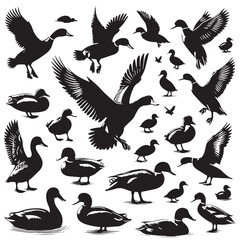 Black Madagascar Pochard Silhouette Vector, High Quality Illustration on White Background